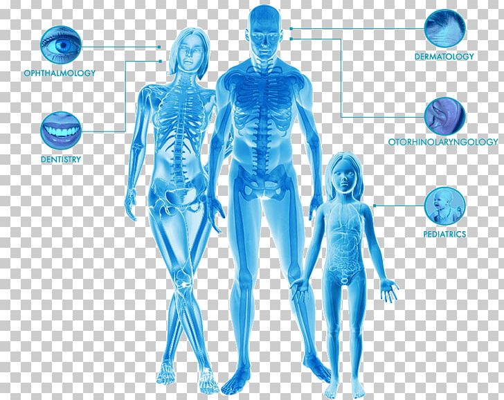 Shoulder Homo Sapiens Human Behavior Hip Arm PNG, Clipart, Abdomen, Arm, Behavior, Blue, Electric Blue Free PNG Download