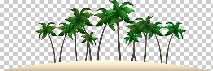 Arecaceae Euclidean Computer File PNG, Clipart, Beach, Christmas Tree, Coc, Coconut Tree, Coconut Trees Free PNG Download