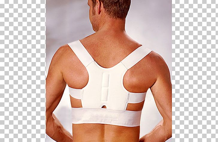 Back Brace Poor Posture Human Back Vertebral Column Pain In Spine PNG, Clipart, Abdomen, Active Undergarment, Arm, Briefs, Ches Free PNG Download