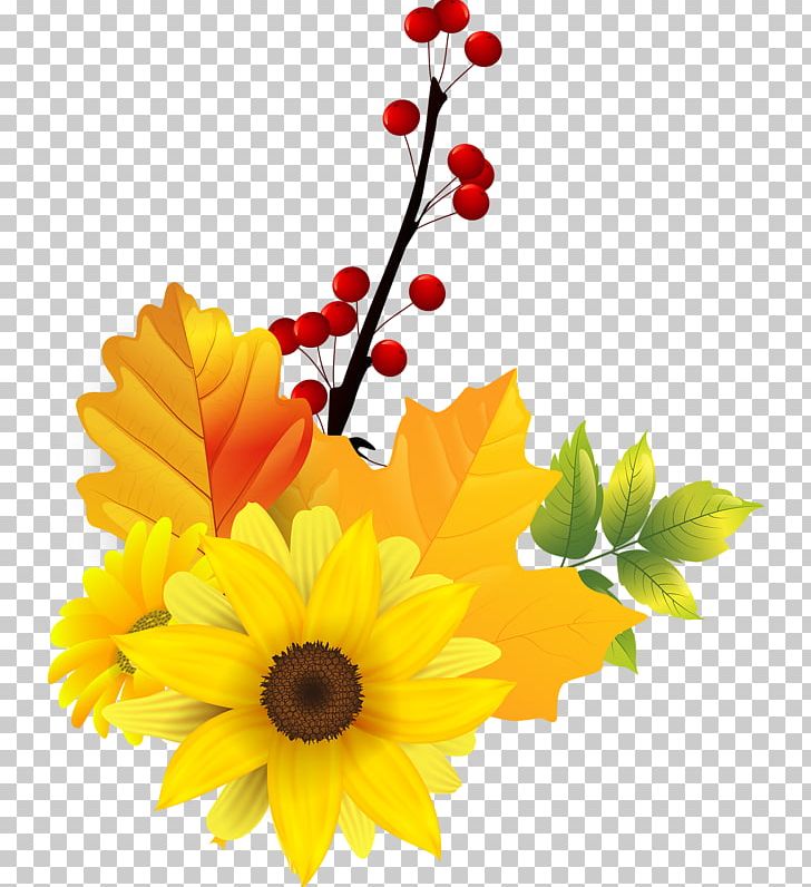 Common Sunflower Transvaal Daisy PNG, Clipart, Cartoon, Common Sunflower, Computer Icons, Cut Flowers, Daisy Family Free PNG Download