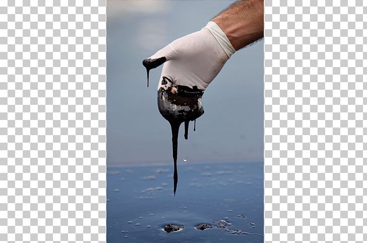 Deepwater Horizon Oil Spill Gulf Of Mexico Macondo Prospect PNG, Clipart, Big Oil, Company, Deepwater Horizon Oil Spill, Drilling Rig, Gulf Of Mexico Free PNG Download