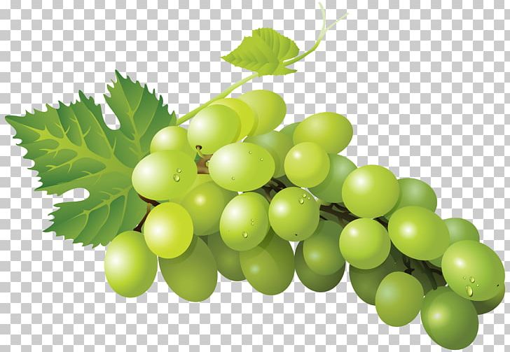 Sultana Grape Zante Currant Seedless Fruit Sauvignon Blanc PNG, Clipart, Computer Icons, Food, Fresh Del Monte Japan, Fruit, Grape Free PNG Download