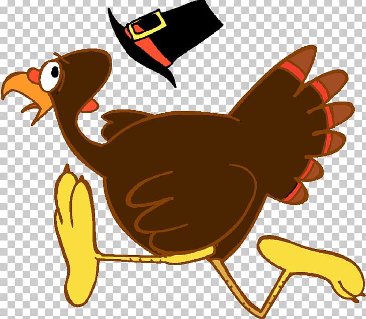 Turkey Trot Running Pilgrim PNG, Clipart, 5k Run, Artwork, Beak, Bird, Carnivoran Free PNG Download