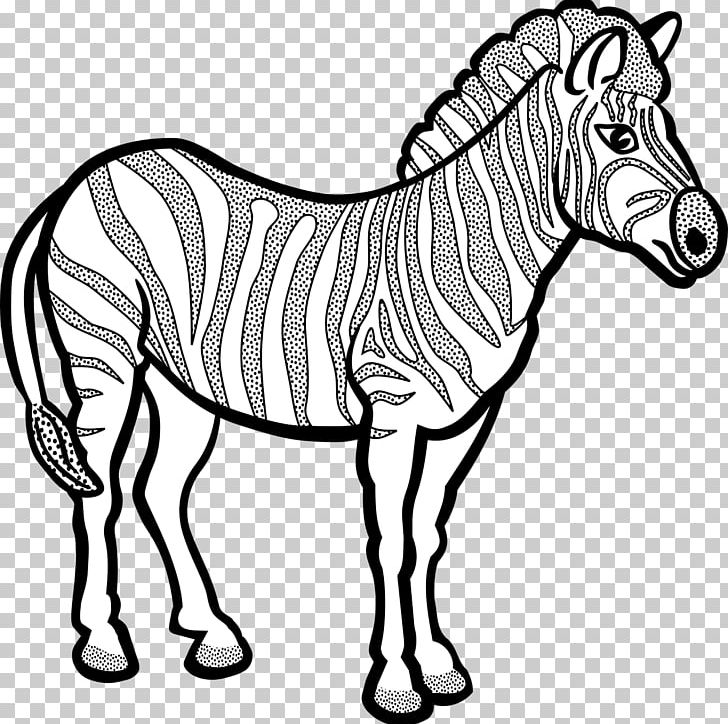 Zebra Line Art PNG, Clipart, Animal, Black White, Fauna, Head, Horse Free PNG Download