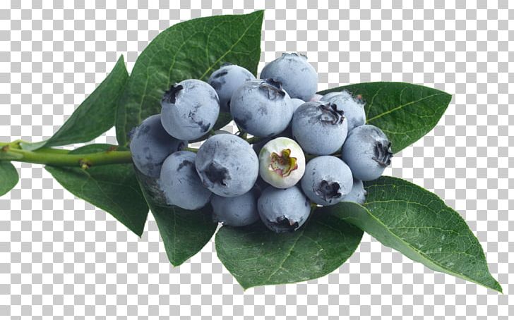 Juice Punch Blueberry Flavor Syrup PNG, Clipart, Berry, Bilberry, Blueberry Extract, Chokeberry, Concentrate Free PNG Download