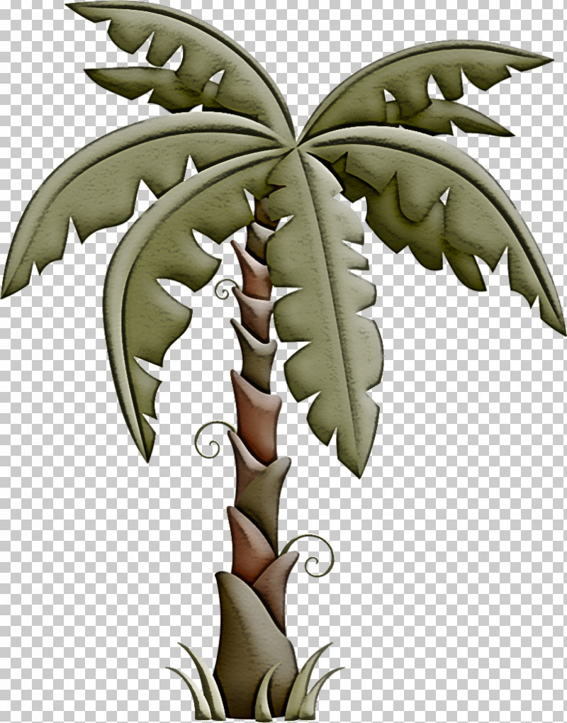 Palm Tree PNG, Clipart, Flower, Leaf, Palm Tree, Perennial Plant, Plant Free PNG Download