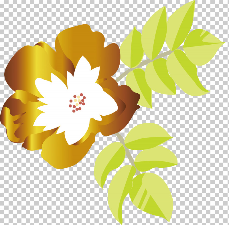 Flower Petal Leaf Plant Yellow PNG, Clipart, Branch, Flower, Leaf, Petal, Plant Free PNG Download