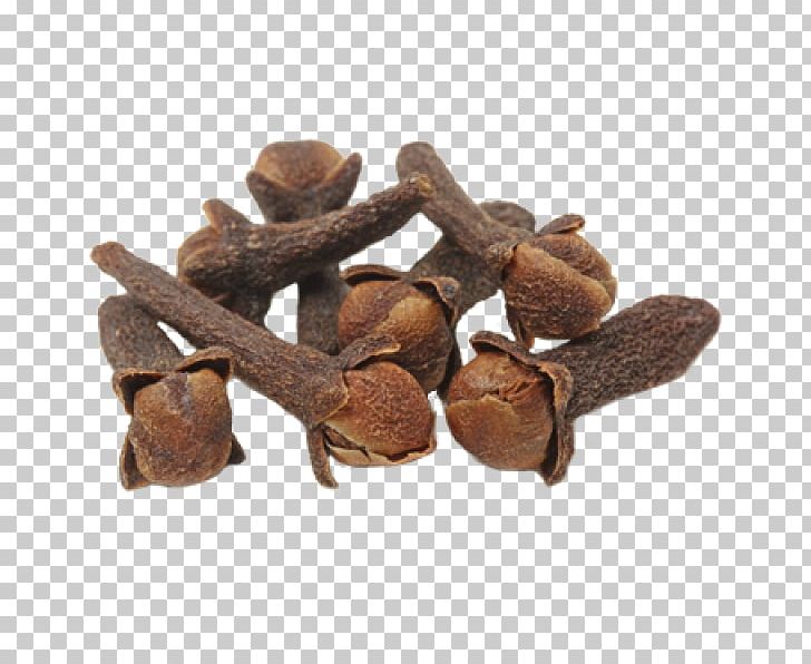 Oil Of Clove Essential Oil Spice PNG, Clipart, Aroma Compound, Bud, Clove, Cubeb, Essential Oil Free PNG Download