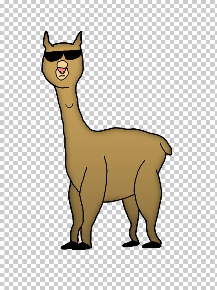 Alpaca Llama Drawing Cartoon PNG, Clipart, Alpaca Fiber, Animal Figure, Animation, Art, Camel Like Mammal Free PNG Download