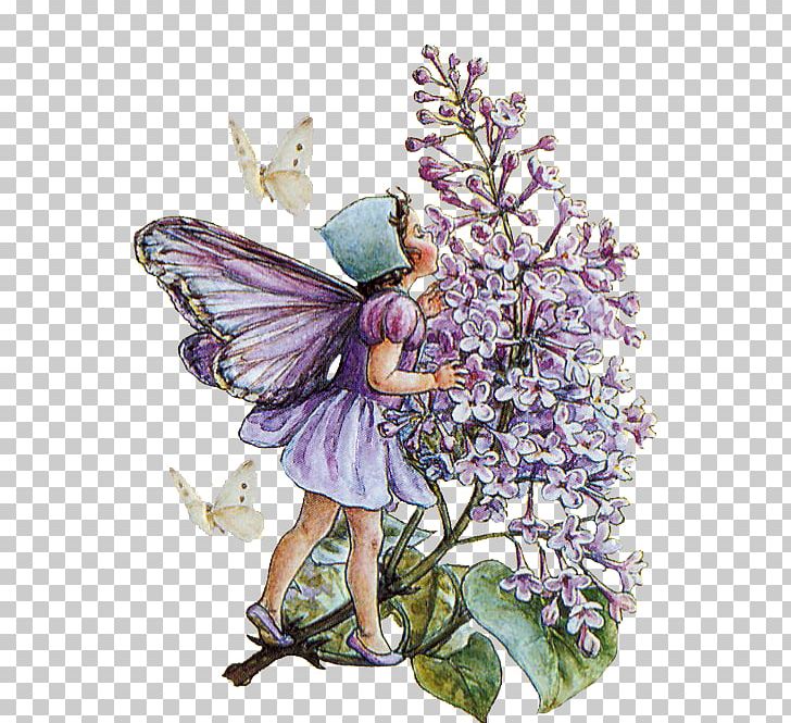 A Flower Fairy Alphabet Flower Fairies Of The Garden Flower Fairies Of The Autumn: With The Nuts And Berries They Bring PNG, Clipart, Alphabet, Art, Butterfly, Decoupage, Fairy Free PNG Download