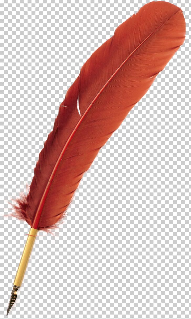 Bird Feather Quill Pen PNG, Clipart, Animals, Bird, Feather, Flight Feather, Fountain Pen Free PNG Download
