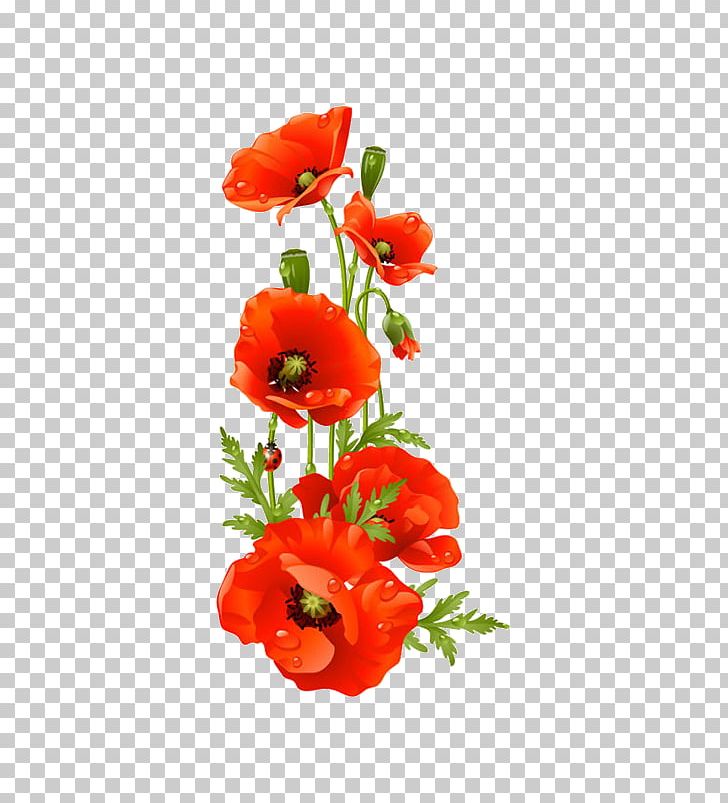 Remembrance Poppy Flower PNG, Clipart, Artificial Flower, Bouquet Of Flowers, Chamomile, Common Poppy, Coquelicot Free PNG Download