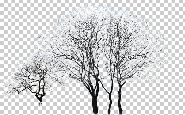 Tree Winter Black And White PNG, Clipart, Black, Branch, Christmas, Christmas Library, Christmas Picture Library Free PNG Download