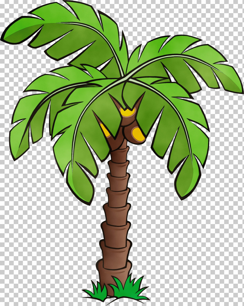 Palm Trees PNG, Clipart, Arecales, Branch, Flower, Flowerpot, Green Free PNG Download