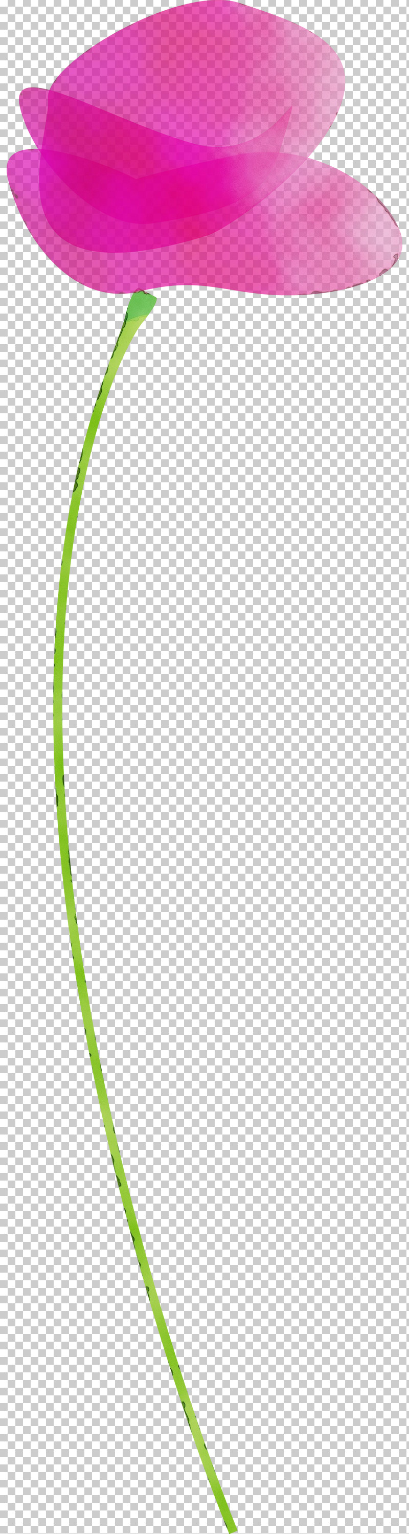 Green Leaf Line Grass Plant PNG, Clipart, Flower, Grass, Green, Leaf, Line Free PNG Download