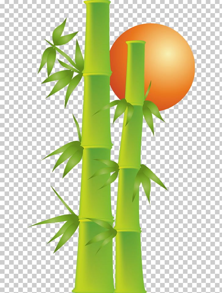 Bamboe Bamboo Drawing PNG, Clipart, Bamboe, Bamboo, Computer Icons, Download, Dracaena Braunii Free PNG Download