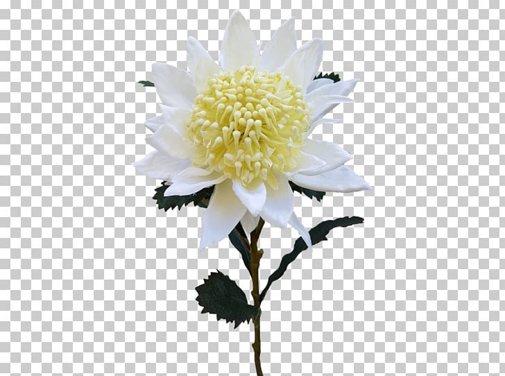 Cut Flowers Artificial Flower Flower Bouquet Floristry PNG, Clipart, Artificial Flower, Babysbreath, Chrysanthemum, Chrysanths, Cut Flowers Free PNG Download
