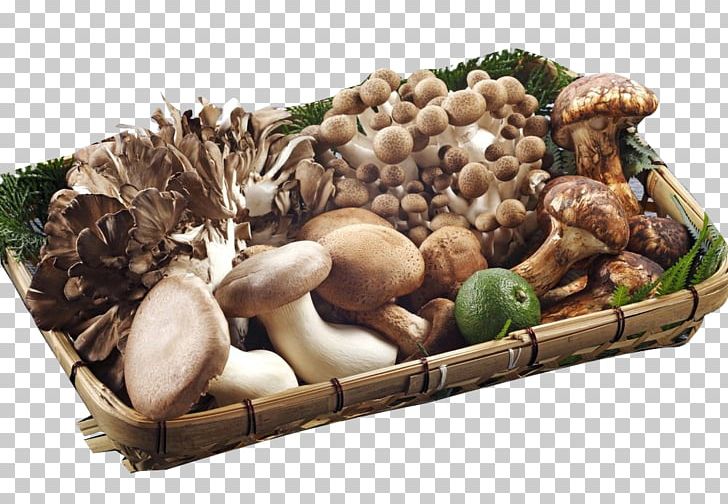 Fungus Mushroom Vegetable Food Shiitake PNG, Clipart, Assorted, Assorted Cold Dishes, Cold, Cooking, Dishes Free PNG Download