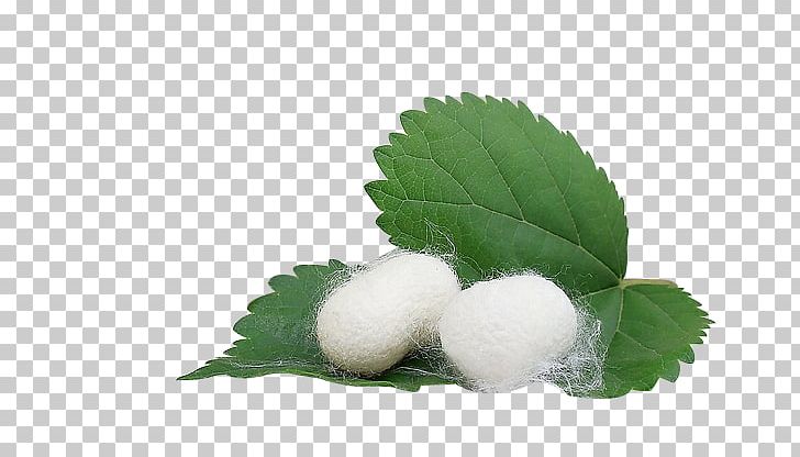 Lotion Silkworm Facial Cream PNG, Clipart, Apparel, Baby Clothes, Cloth, Clothes Hanger, Clothing Free PNG Download