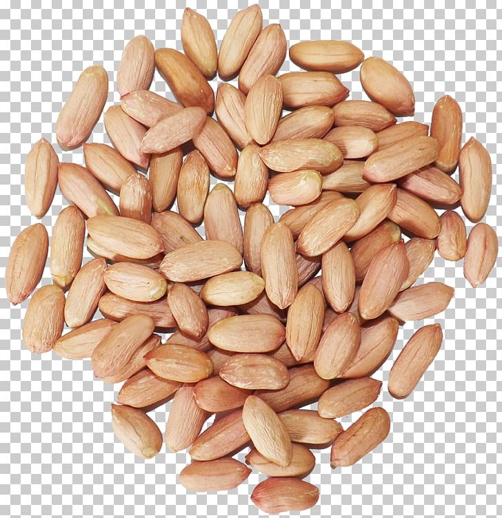 Peanut Superfood Ingredient PNG, Clipart, Commodity, Food, Ingredient, Miscellaneous, Nut Free PNG Download