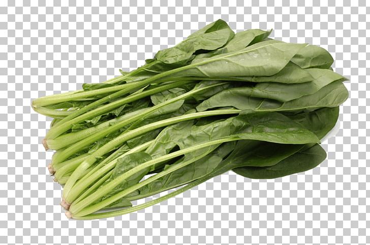 Spinach Vegetable Food Chinese Cabbage Cucumber PNG, Clipart, Broccoli, Cabbage, Carrot, Chinese Cabbage, Choy Sum Free PNG Download