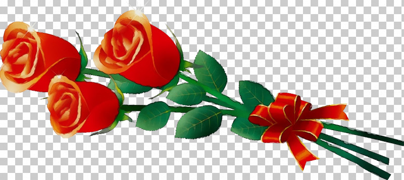 Garden Roses PNG, Clipart, Flower, Garden Roses, Paint, Petal, Plant Free PNG Download