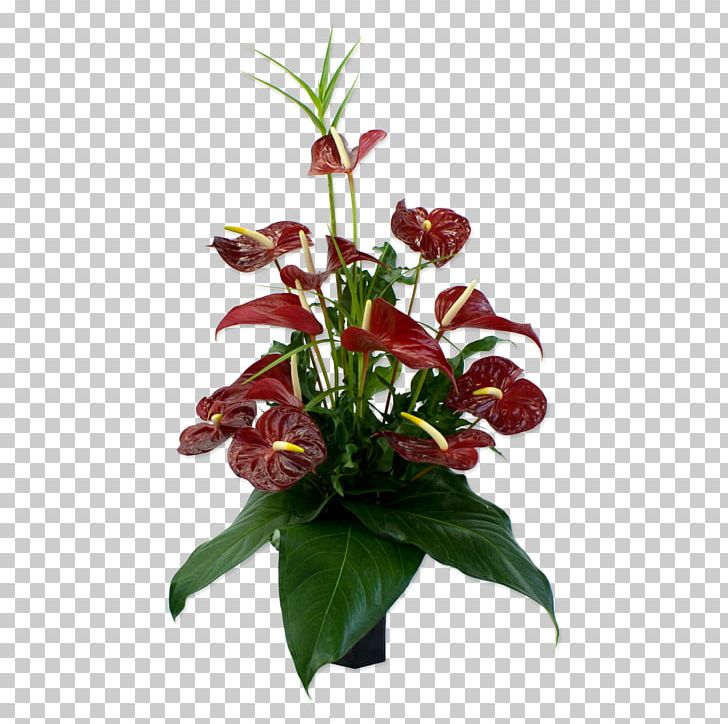 Anthurium Andraeanum Flower Bouquet Floristry Floral Design PNG, Clipart, Anthurium Andraeanum, Arrangement, Art, Artificial Flower, Cut Flowers Free PNG Download