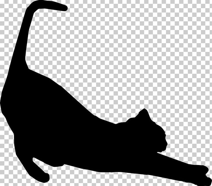 Cat Protection Society Of Victoria Siamese Cat Kitten Silhouette Stretching PNG, Clipart, Animals, Black, Black And White, Black Cat, Carnivoran Free PNG Download