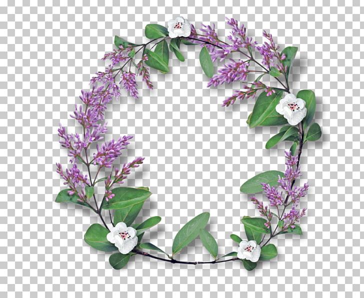 Flower Frames Photography Violet PNG, Clipart, Blue, Christmas, Flower, Gift, Lilac Free PNG Download
