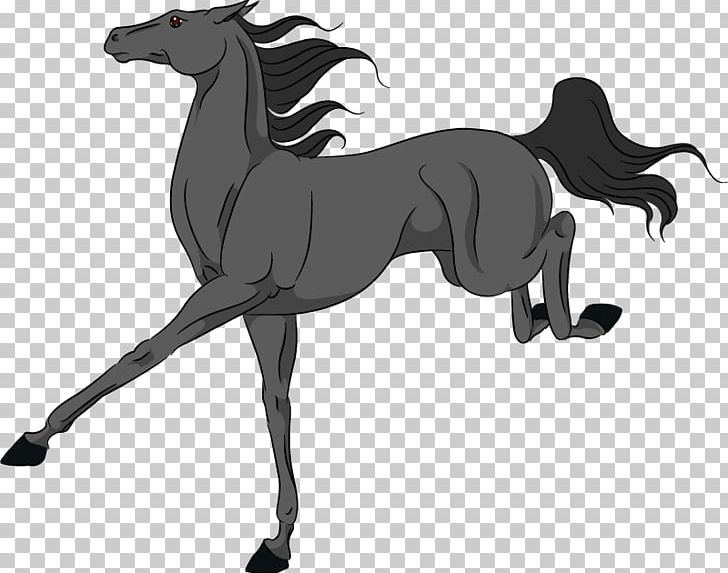 Mane Pony Foal Mustang Stallion PNG, Clipart, Animal Figure, Black And White, Carnivoran, Colt, Dog Like Mammal Free PNG Download