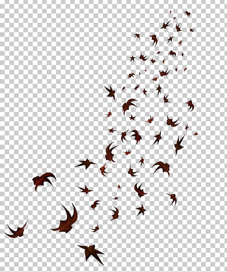 Percy Jackson PNG, Clipart, America, Beak, Bird, Branch, Designer Free PNG Download