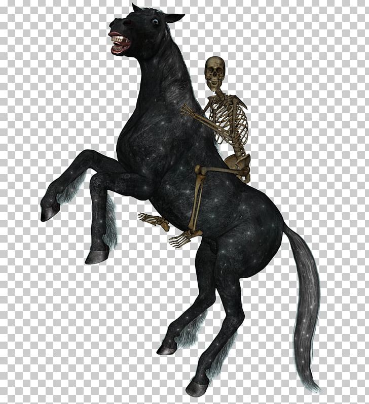 Horse&Rider Equestrian Skeleton PNG, Clipart, Animal, Animal Figure, Animals, Bit, Drawing Free PNG Download