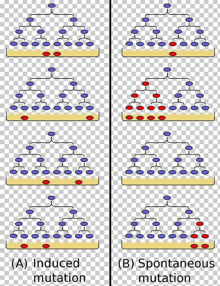 Luria–Delbrück Experiment Mutation Genetics Biology PNG, Clipart, Area, Biology, Biophysics, Dna, Experiment Free PNG Download