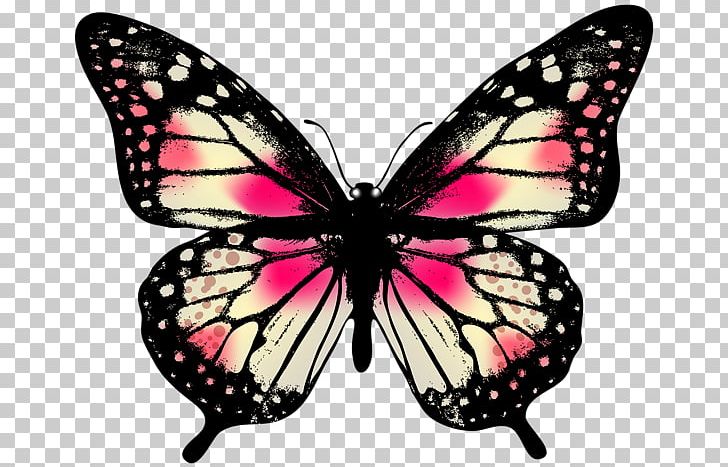 Owl Butterfly Greta Oto Monarch Butterfly PNG, Clipart, Arthropod, Brush Footed Butterfly, Butterflies And Moths, Butterfly, Clip Art Free PNG Download