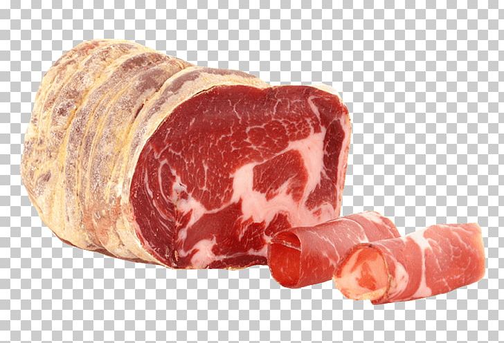 Capocollo Ham Salami Prosciutto Soppressata PNG, Clipart, Animal Source Foods, Beef, Charcuterie, Curing, Food Free PNG Download