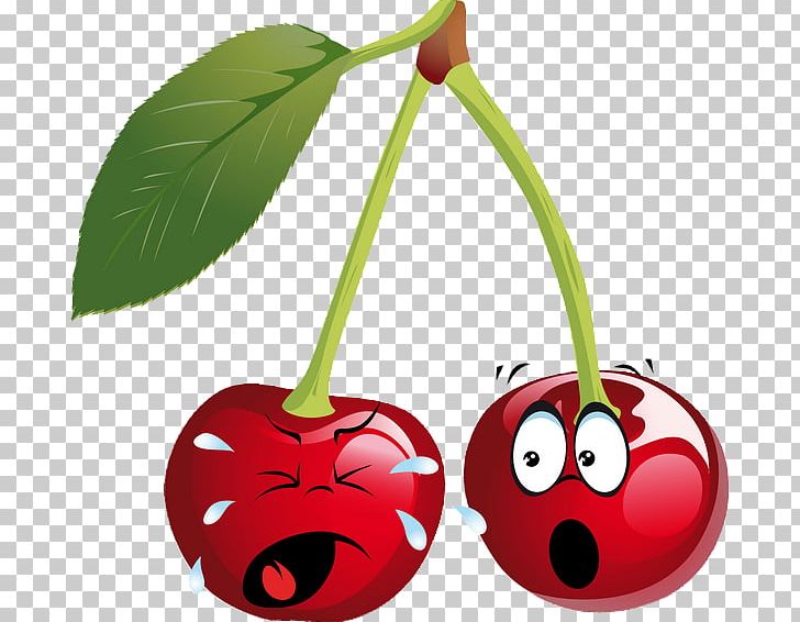 Cherry Cartoon Smiley PNG, Clipart, Cartoon, Cherries, Cherry, Download, Emoticon Free PNG Download