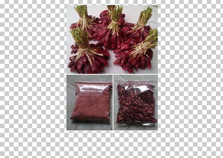 Dayak People Eleutherine Bulbosa Bawang Kutai Kartanegara Regency Obat Tradisional PNG, Clipart, Bawang, Borneo, Dayak People, Diabetes Mellitus, East Kalimantan Free PNG Download