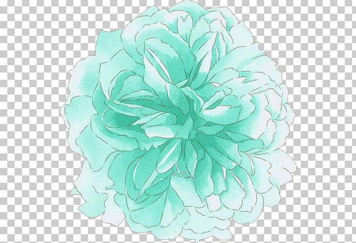 Flower Peony PNG, Clipart, Aqua, Common Daisy, Download, Floral Emblem, Flower Free PNG Download