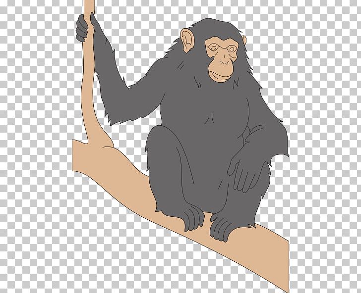 Chimpanzee Primate Stone Pine Taxonomic Rank Taxonomy PNG, Clipart, Arm, Biology, Carnivoran, Cartoon, Chimpanzee Free PNG Download