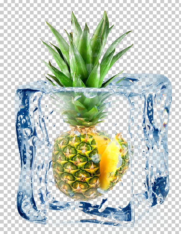 Cocktail Juice Fruit Ice Cube PNG, Clipart, Bromeliaceae, Cartoon Pineapple, Cool, Dish, Flavor Free PNG Download