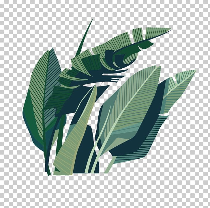 Leaf Coconut Illustration PNG, Clipart, Arecaceae, Art, Background Green, Coconut, Coconut Leaf Free PNG Download