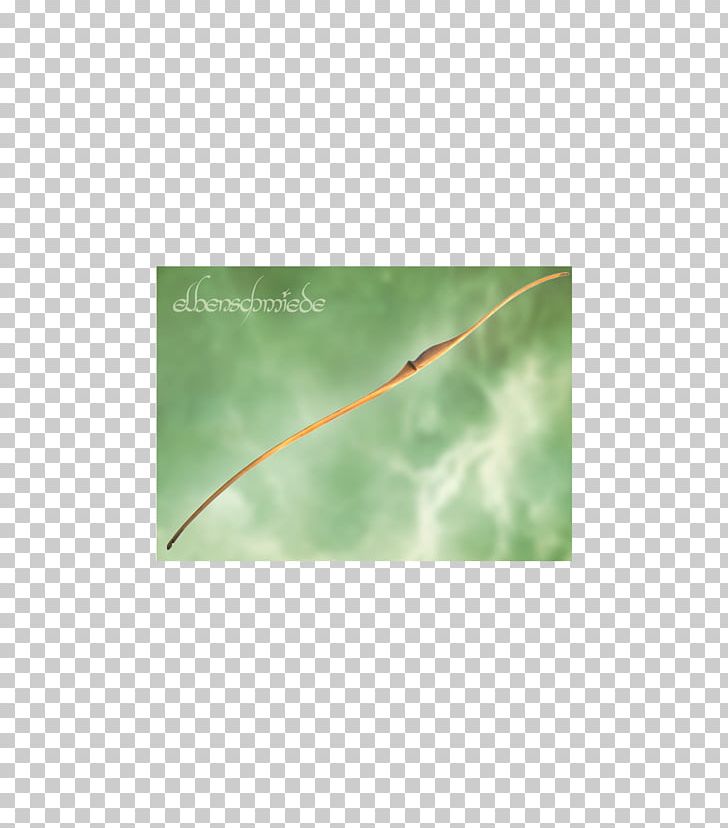 Leaf Plant Stem Angle Sky Plc PNG, Clipart, Angle, Brown Bear, Fafnir, Grass, Green Free PNG Download