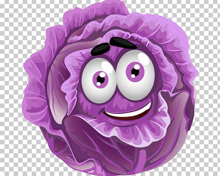Red Cabbage Capitata Group Savoy Cabbage Vegetable PNG, Clipart, Bok Choy, Brassica Oleracea, Capitata Group, Cauliflower, Chinese Cabbage Free PNG Download