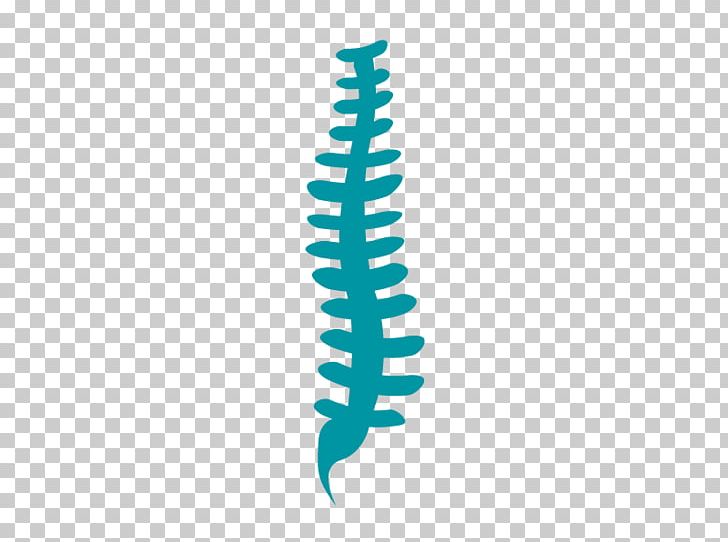 Chiropractic Health Vertebral Column PNG, Clipart, Angle, Aqua, Blue, Chiropractic, Circle Free PNG Download