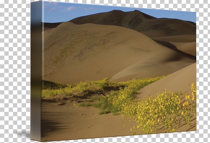 Singing Sand Ecoregion Plant Community PNG, Clipart, Aeolian Landform, Community, Desert, Dune, Ecoregion Free PNG Download