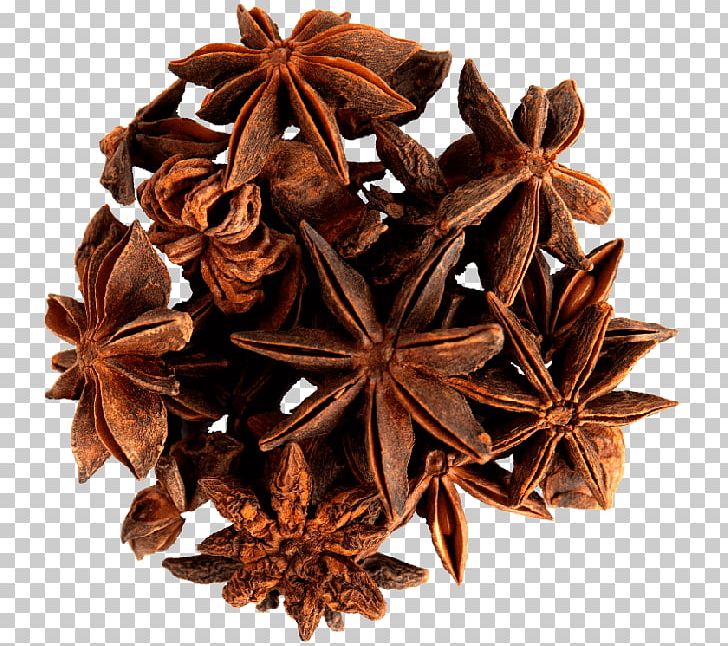 Spice Star Anise Cinnamomum Verum Herb PNG, Clipart, Anice, Anise, Black Pepper, Cardamom, Chili Powder Free PNG Download