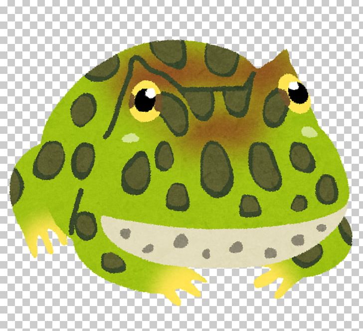 True Frog Argentine Horned Frog いらすとや Png Clipart Amphibian Animal Animals Argentine Horned Frog Character