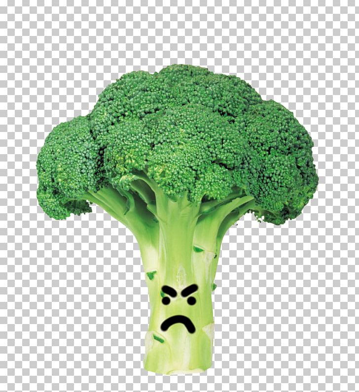 Broccoli Cabbage Portable Network Graphics Vegetable PNG, Clipart, Broccoli, Broccoli Slaw, Brussels Sprout, Cabbage, Cauliflower Free PNG Download