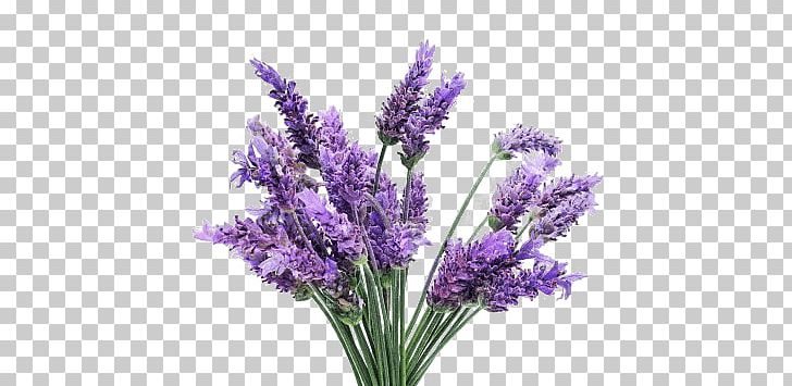 Lavender Bunch PNG, Clipart, Flowers, Lavender, Nature Free PNG Download