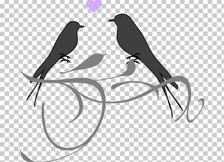 Lovebird Wedding Invitation PNG, Clipart, Animals, Art, Beak, Bird, Birdcage Free PNG Download